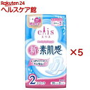エリス 新・素肌感 多い昼〜ふつうの日用 羽つき(2個パック×5セット(1パック20枚入))【elis(エリス)】