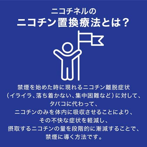 【第1類医薬品】ニコチネル パッチ 20 禁煙補助薬 14枚(14枚入×2セット(セルフメディケーション税制対象))【ニコチネル】