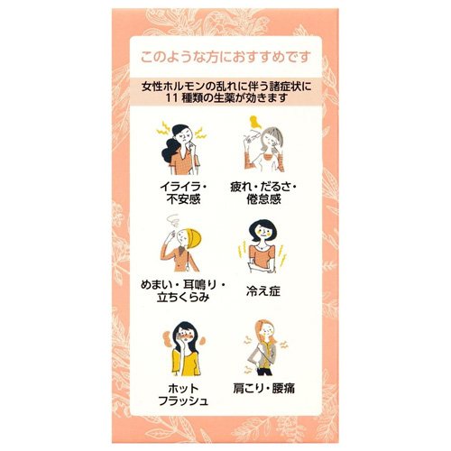 【第3類医薬品】ジツボンS(200錠×2セット)