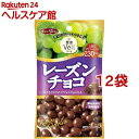 果実ヴェール レーズンチョコ(47g*12コセット)[チョコレート ホワイトデー 義理チョコ]