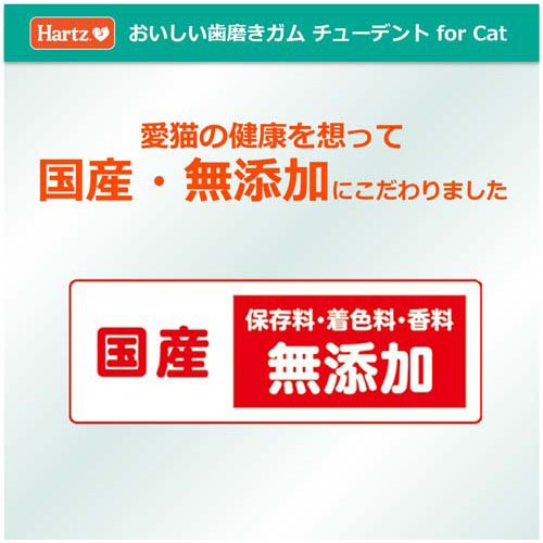 サンプル画像2