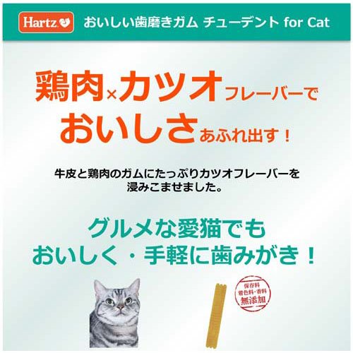 サンプル画像3