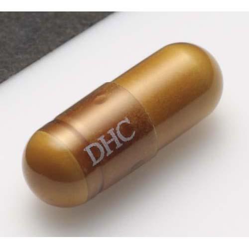 DHC 乳酸菌EC-12 20日分(20粒*2袋セット)【DHCサプリメント　健康】