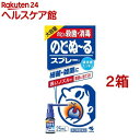 【第3類医薬品】小林製薬 のどぬ〜るスプレー大容量(25ml*2箱セット)【のどぬ〜る(のどぬーる)】