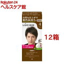 ルシード ワンプッシュケアカラー ライトブラウン(100g*12箱セット)【ルシード(LUCIDO)】