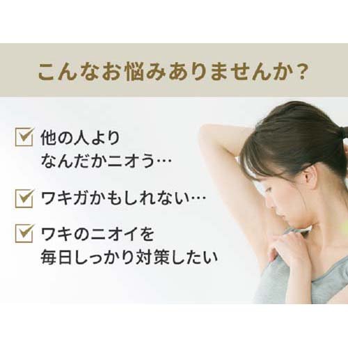 小林製薬 ワキガード ワキガ・汗臭・制汗用ジェル(50g*12箱セット)【ワキガード】