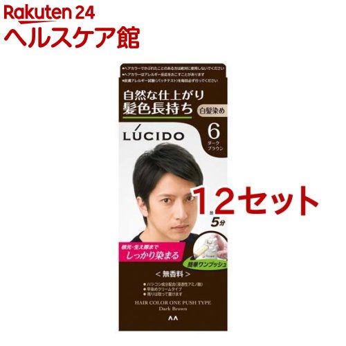 ルシード ワンプッシュケアカラー 6 ダークブラウン(50g+50g*12セット)【ルシード(LUCIDO)】