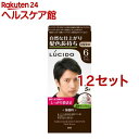 ルシード ワンプッシュケアカラー 6 ダークブラウン(50g+50g*12セット)【ルシード(LUCIDO)】