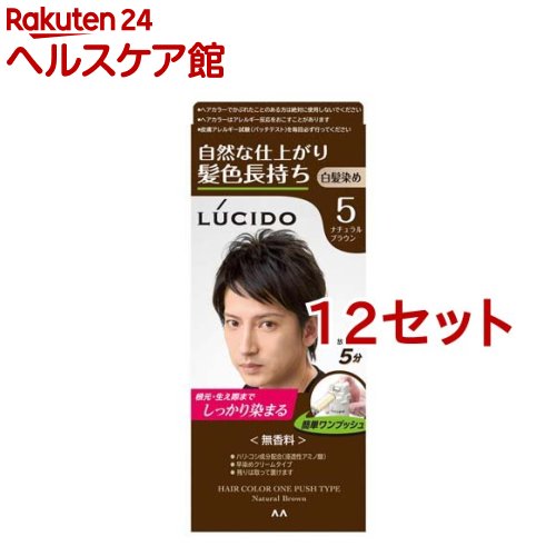 ルシード ワンプッシュケアカラー 5 ナチュラルブラウン(50g+50g*12セット)【ルシード(LUCIDO)】