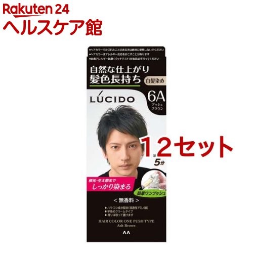 ルシード ワンプッシュケアカラー アッシュブラウン(50g+50g*12セット)【ルシード(LUCIDO)】