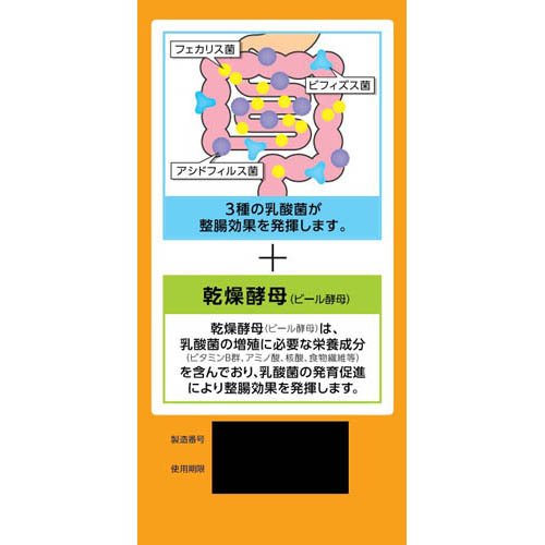 ���ӥ�����Ĳ��(504��*2�����å�)�ڥ��ӥ�������