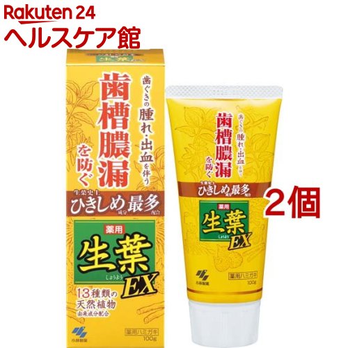 薬用生葉EX 100g*2コセット 【生葉】[歯槽膿漏を防ぐ 和漢ハーブの香味 薬用ハミガキ]