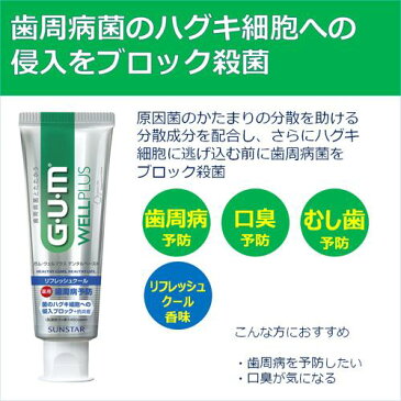 ガム(G・U・M) ウェルプラス デンタルペースト リフレッシュクール(125g)【ガム(G・U・M)】