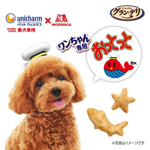 グラン・デリ ワンちゃん専用おっとっと シーフード味(50g*12袋セット)【グランデ...