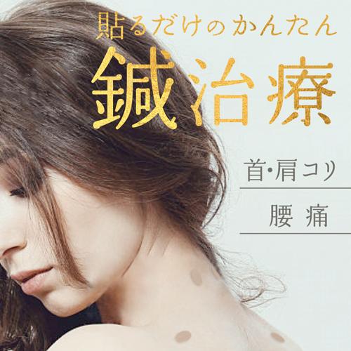 マジコ 鍼治療用具・ひ針 518400(24針入)【マジコ(magico)】 2