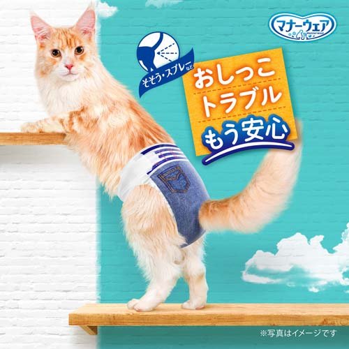 �ޥʡ������� �ͤ��� L������(28����*8�ޥ��å�)�ڥޥʡ���������