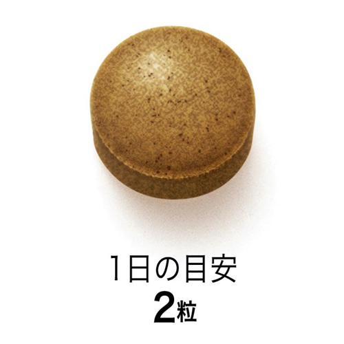 ファンケル 酵素にんにく卵黄(60粒入)【ファンケル】