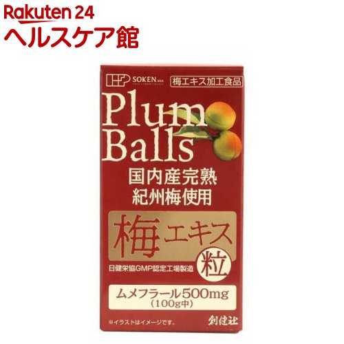 創健社 国内産完熟紀州梅使用梅エキス 粒(90g)【創健社】