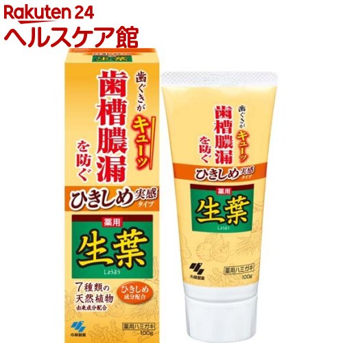 ひきしめ生葉 ひきしめ実感タイプ(100g)【生葉】[歯槽膿漏を防ぐ 和漢ハーブの香味 薬用ハミガキ]