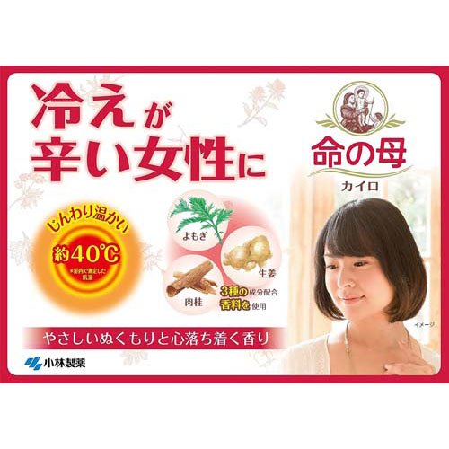 命の母カイロ 貼る(はる)タイプ(10個入×5セット)【命の母】