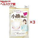 ビースタイル プリーツタイプ ふつうサイズ プレミアムホワイト(5枚入×3セット)【ビースタイル】