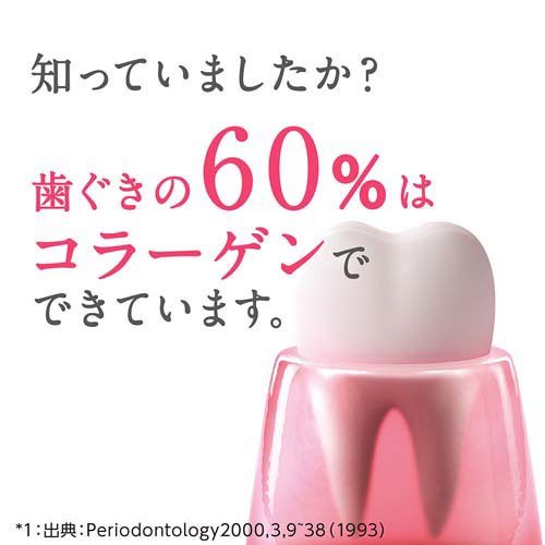 LION（ライオン）『システマハグキプラスSハミガキ』