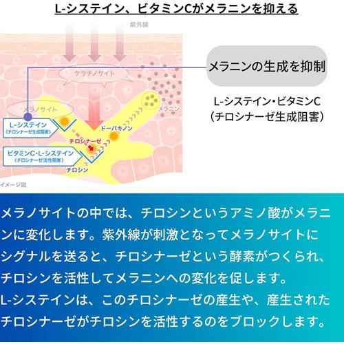 【第3類医薬品】トランシーノ ホワイトCクリア(120錠)【トランシーノ】[しみ・そば...