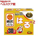 カイロ/桐灰 はるタイプ(30個入×2セット)【桐灰カイロ】