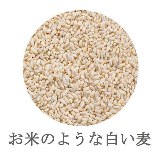 はくばく 純麦(50g*12袋入)