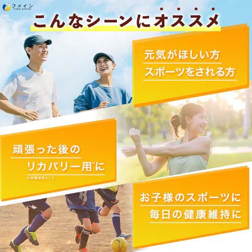 ファイン クエン酸(250g)【more20】【ファイン】[ビタミンB ビタミンC エネルギー ...