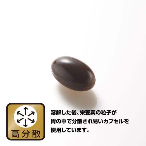 野口医学研究所 ブルーベリー＆ルテイン サプリ(60粒入)