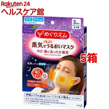 めぐりズム 蒸気でホットうるおいマスク ラベンダーミントの香り(3枚入*5箱セット)【めぐりズム】