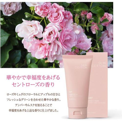 �����󥳥åȥ� ǻ����ڥ��ǥ����꡼��(60g*12�ĥ��å�)�ڥ����󥳥åȥ��[���� �ɤ�ľ������ ���ݼ� ����ȥ������ι��]