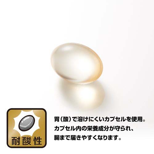楽天24 ヘルスケア館の野口医学研究所 鮫肝油 サプリ(90粒入)｜アングル2