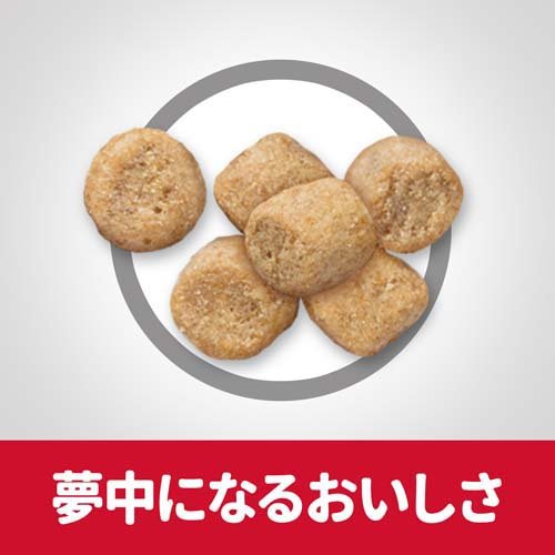 キャットフード サイエンスダイエット シニアライト 猫 7歳以上 チキン(800g*12袋セット)【サイエンスダイエット】