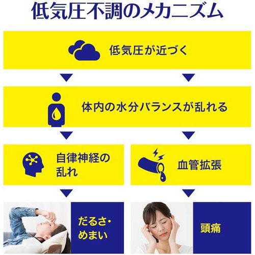 楽天24 ヘルスケア館の【第2類医薬品】テイラック(24錠入*2箱セット)【小林製薬】｜アングル3