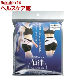 美姿勢ベルト 仙律 グレー M-Lサイズ(1個)