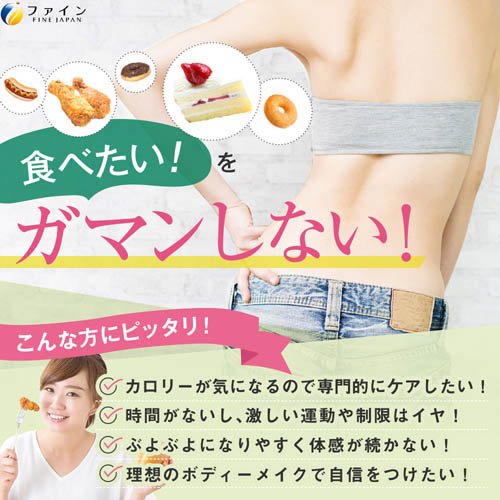 ファイン カロリー気にならない 糖質専用 30日分(90粒入×3セット)【ファイン】