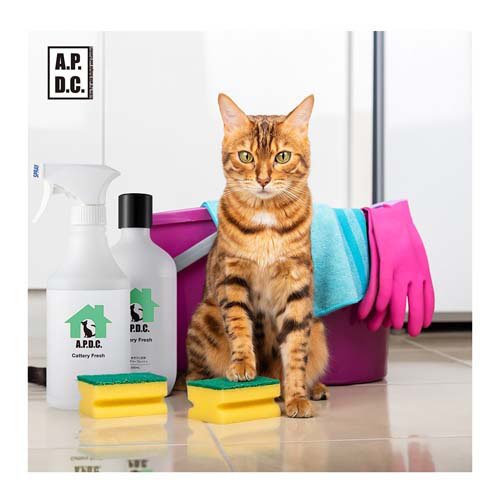 A.P.D.C. キャッテリーフレッシュ 専用希釈ボトル 500ml(1個)【A.P.D.C.】