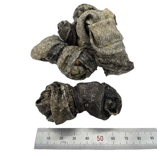 �ǥ󥿥� �������㡼���� �ܡ���(500g*6�ޥ��å�)��FISH4DOGS��