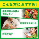 DHC 国産パーフェクト野菜プレミアム 60日分(240粒*9コセット)【DHC サプリメント】 3
