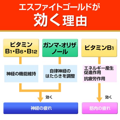 楽天24 ヘルスケア館の【第3類医薬品】エスファイト ゴールド(240錠*2箱セット)【エスファイト】｜アングル3