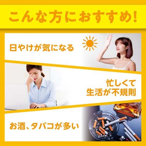 DHC ビタミンCハードカプセル 90日分(1...の紹介画像3