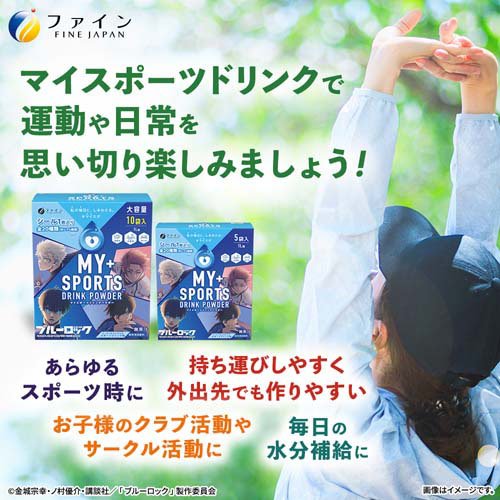 楽天24 ヘルスケア館のマイスポーツドリンクパウダー スポーツドリンク味(10袋入×10セット(1袋40g))【ファイン】｜アングル2