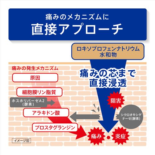 【第2類医薬品】ロキソニンSゲル(50g(セルフメディケーション税制対象))【ロキソニン】[腰痛 肩こり 関節痛 筋肉痛 速乾 無香料 無色 透明] (3)