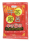 汗蒸風呂(ハンジュン風呂)バードチリ