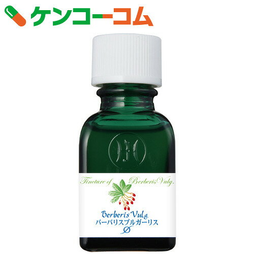 マザーチンクチャーバーバリスブイ小(20mL)[ホメオパシーチンクチャー　ホメオパシー　チンクチャー(ハーブ酒)]