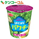 ぱくぱくパクチー 鶏しおヌードル 63g×12個[エースコック 塩ラーメン]【あす楽対応】【送料無料】