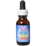 女神のエッセンス シャクティ(Shakti)