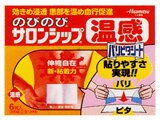 のびのびサロンシップH 6枚
